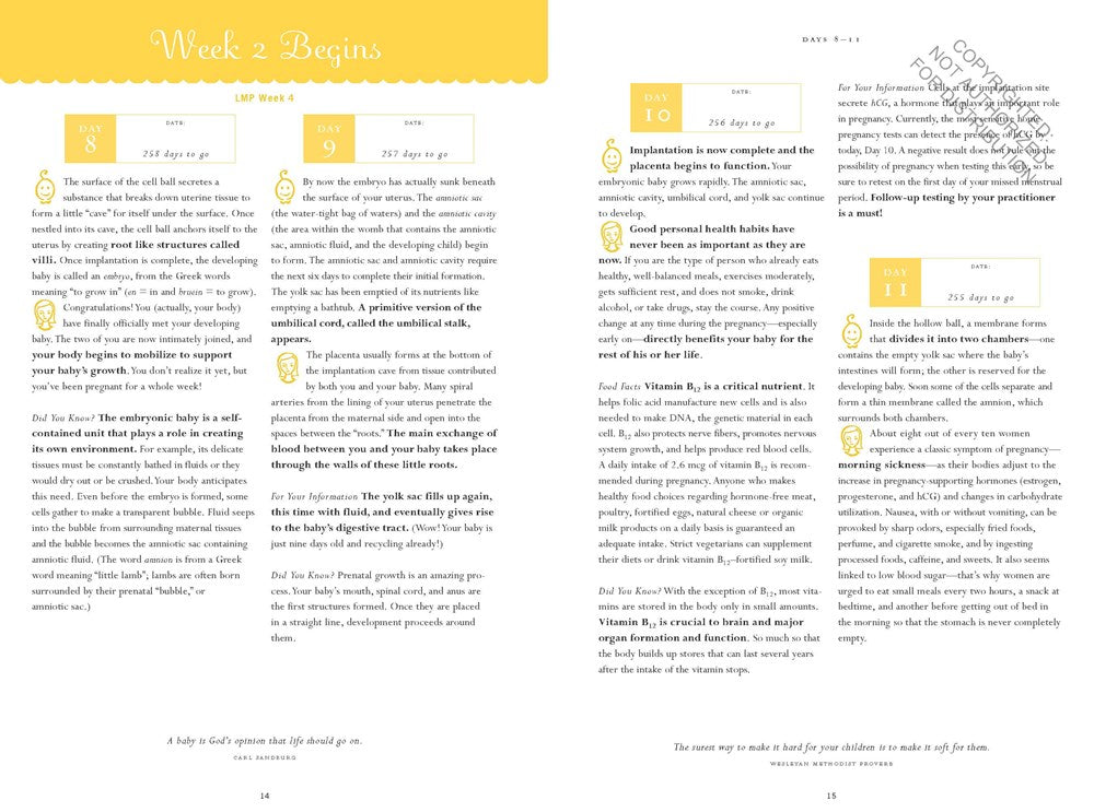 The Pregnancy Journal, 4th Edition