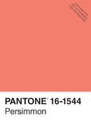 Pantone 50 Postcards