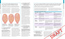 The Pregnancy Encyclopedia
