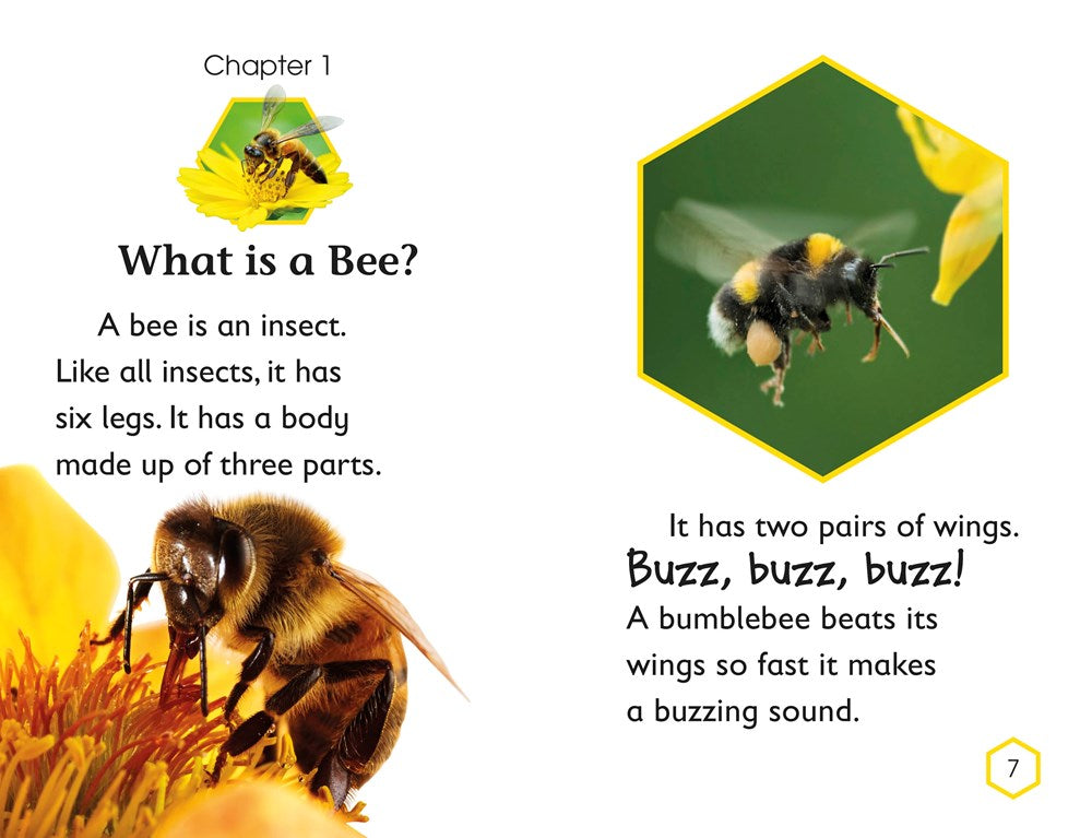 DK Readers L2: Amazing Bees