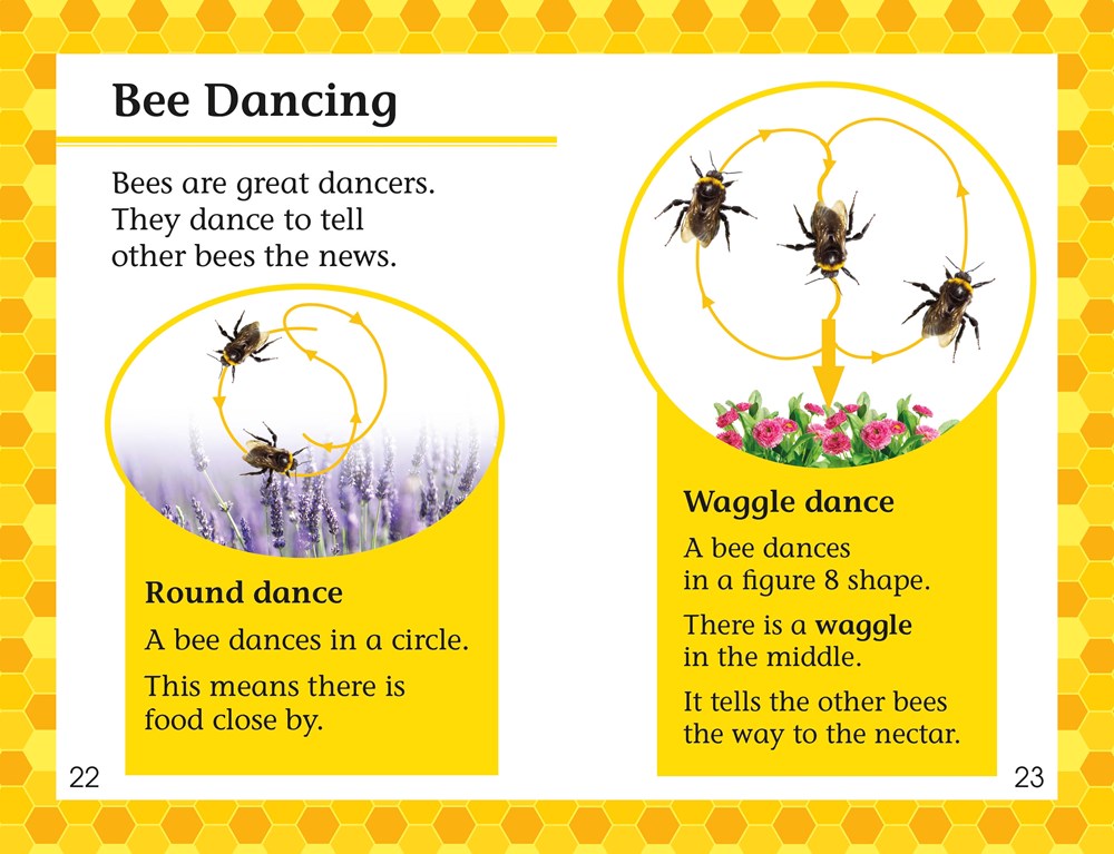 DK Readers L2: Amazing Bees