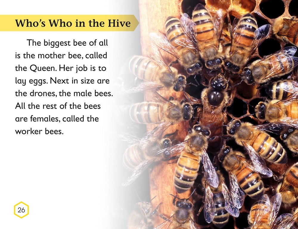 DK Readers L2: Amazing Bees