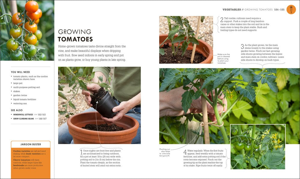 Beginner Gardening Step by Step