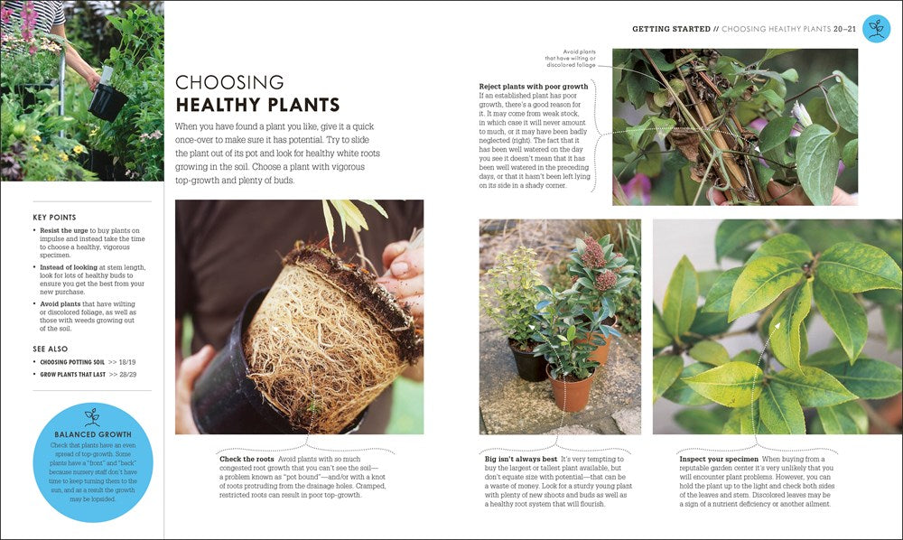 Beginner Gardening Step by Step