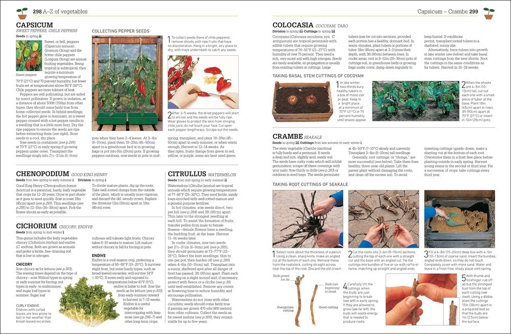 Propagating Plants