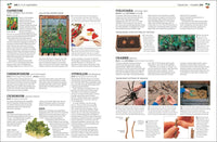 Propagating Plants