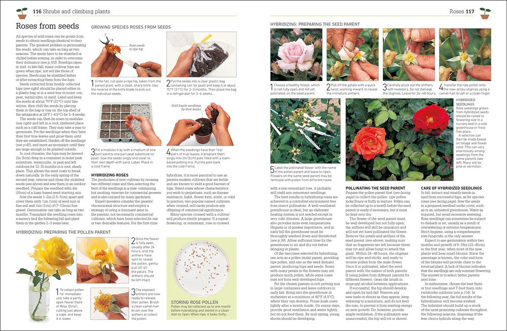 Propagating Plants