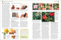 Propagating Plants