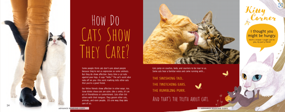 Meow! The Truth About Cats