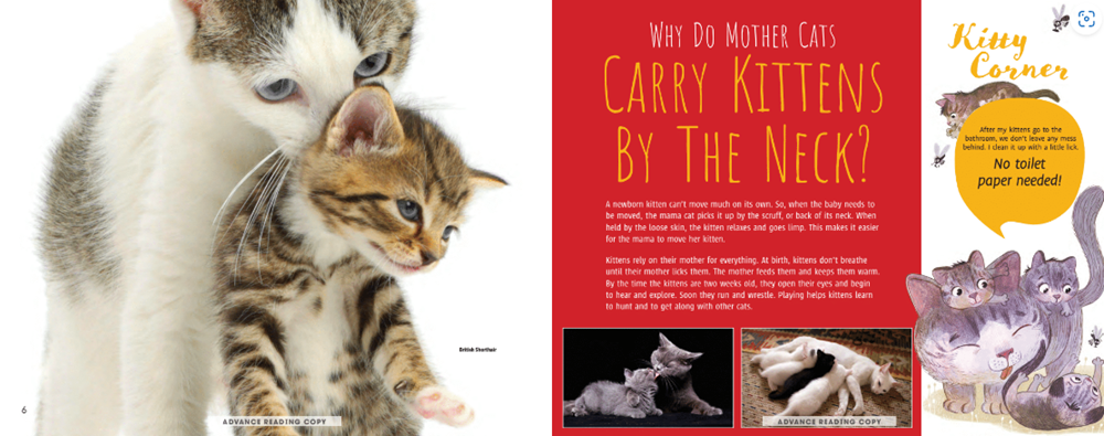 Meow! The Truth About Cats