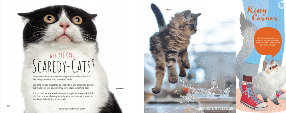 Meow! The Truth About Cats