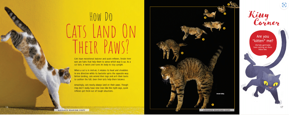 Meow! The Truth About Cats