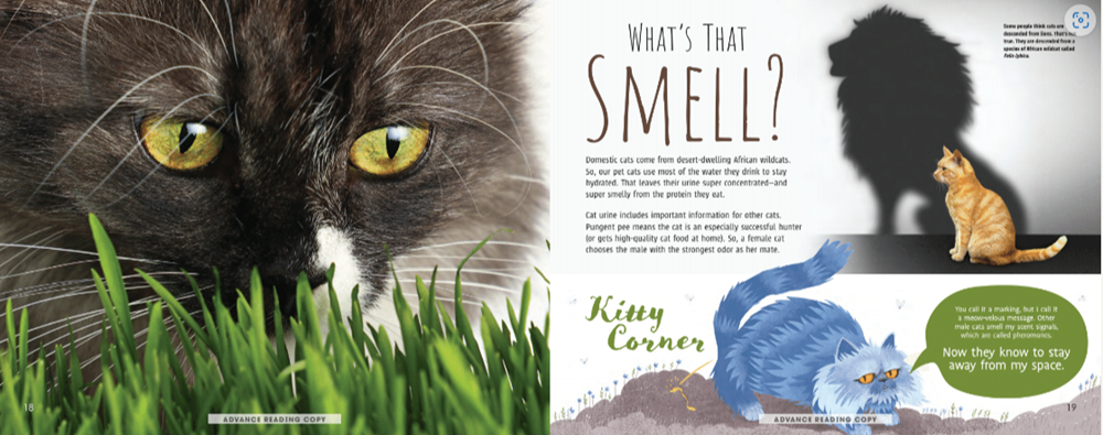 Meow! The Truth About Cats