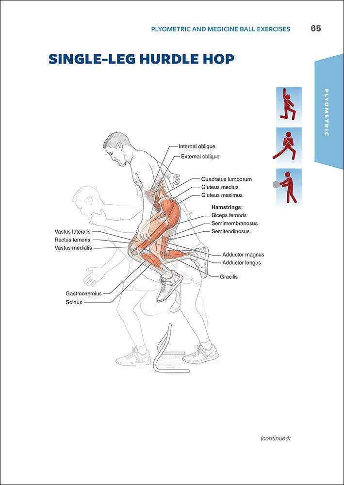 Functional Training Anatomy