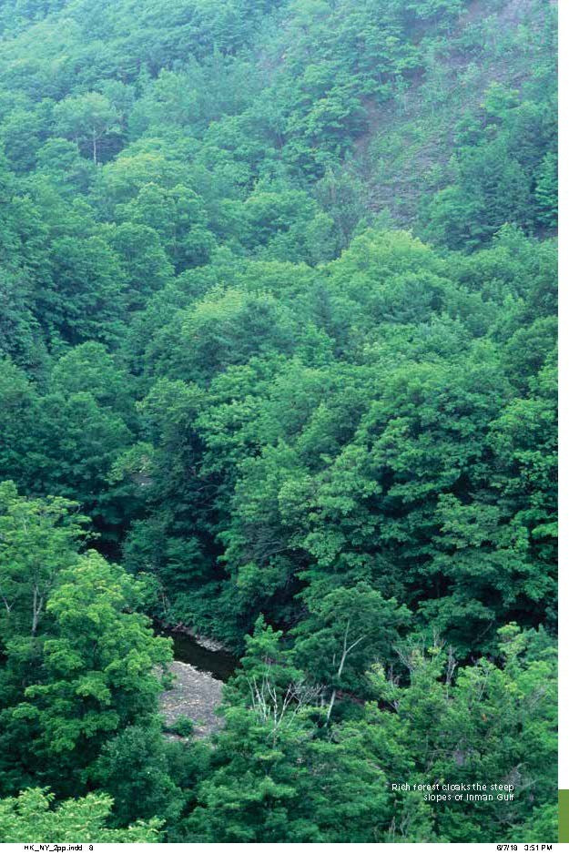 Hiking New York