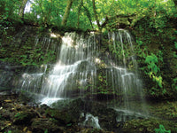 Hiking Waterfalls Tennessee