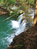 Hiking Waterfalls Tennessee