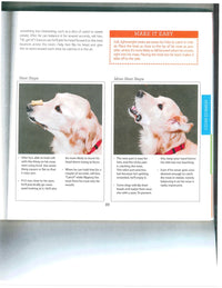 Dog Tricks Even You Can Teach Your Pet