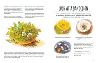 Finding Calm in Nature