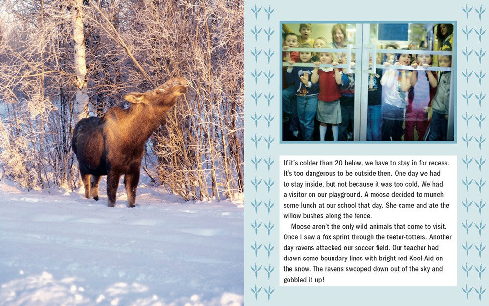 Recess at 20 Below, Revised Edition