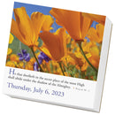 365 Bible Verses-A-Year Page-A-Day 2023