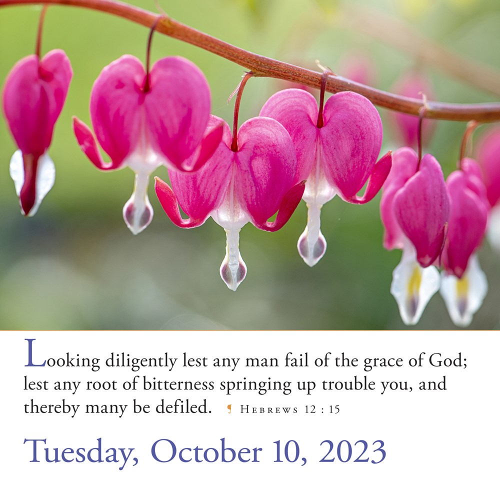 365 Bible Verses-A-Year Page-A-Day 2023