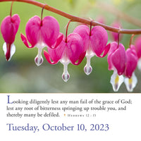 365 Bible Verses-A-Year Page-A-Day 2023