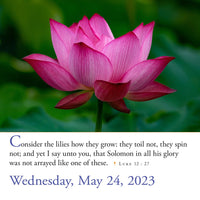 365 Bible Verses-A-Year Page-A-Day 2023