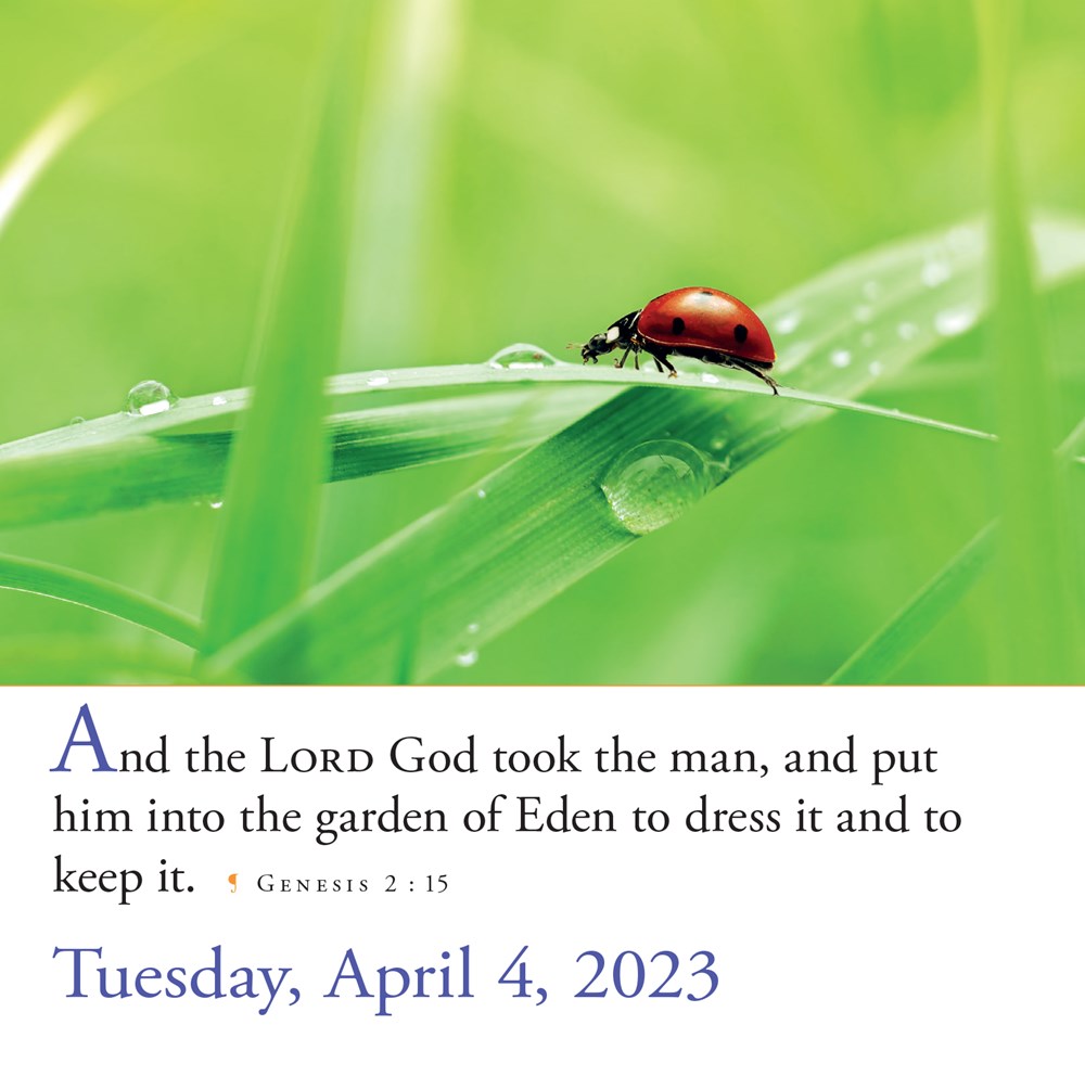 365 Bible Verses-A-Year Page-A-Day 2023