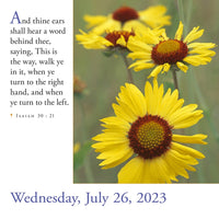 365 Bible Verses-A-Year Page-A-Day 2023