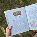 The Wheel of the Year