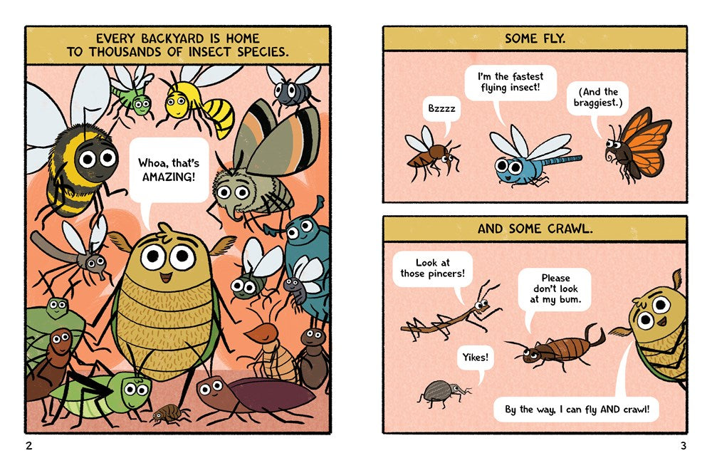 Burt the Beetle Doesn't Bite!