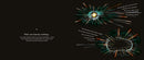 It Started with a Big Bang