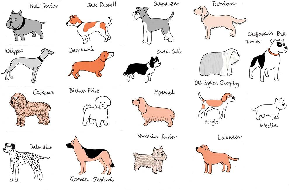 What Dogs Want