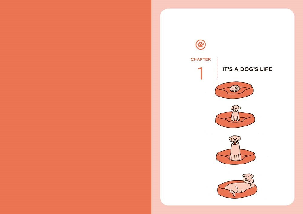 What Dogs Want