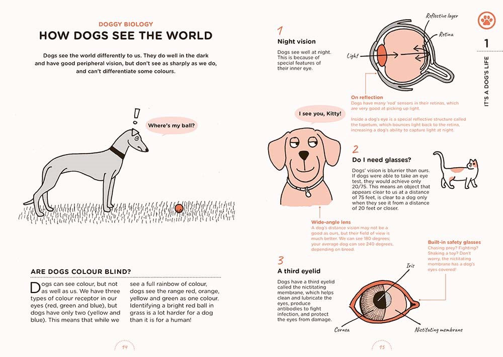 What Dogs Want