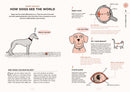 What Dogs Want
