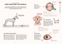 What Dogs Want