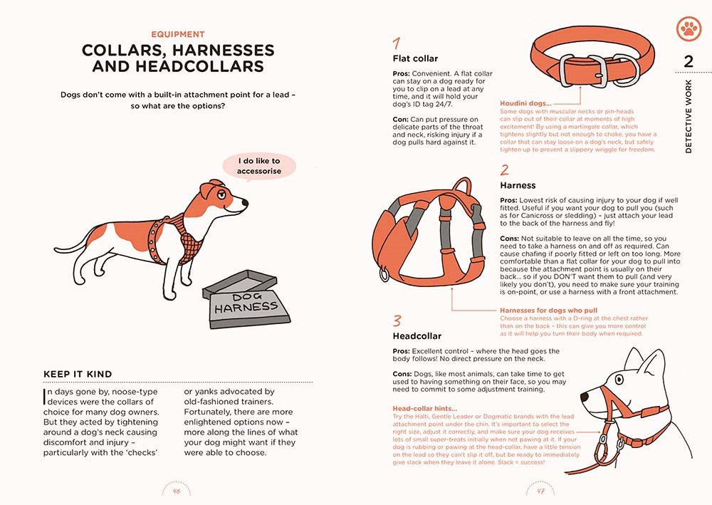 What Dogs Want