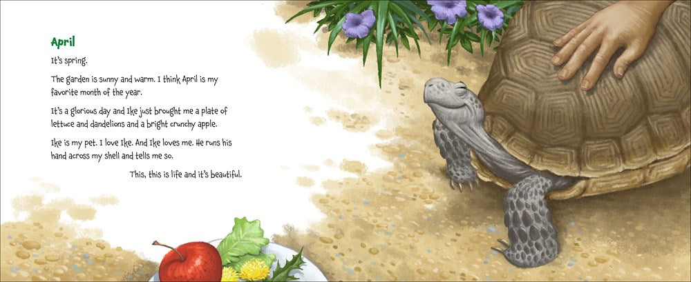 Memoirs of a Tortoise