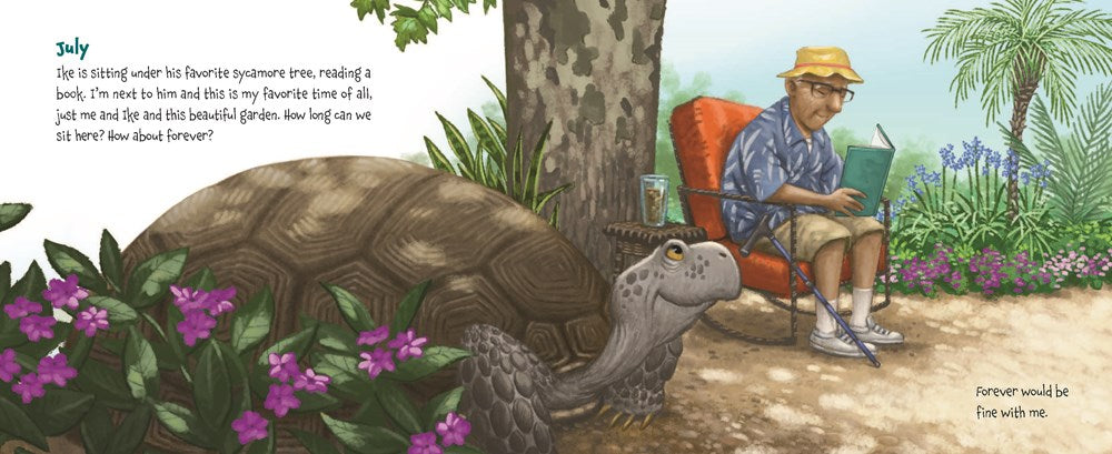 Memoirs of a Tortoise