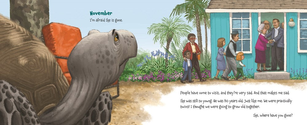 Memoirs of a Tortoise