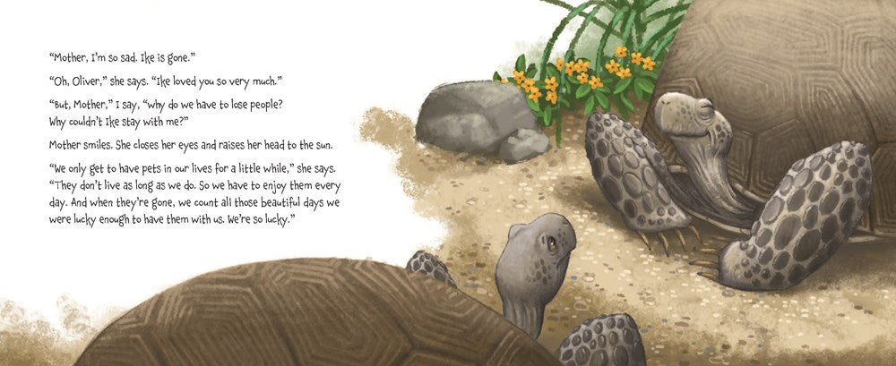Memoirs of a Tortoise