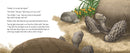Memoirs of a Tortoise