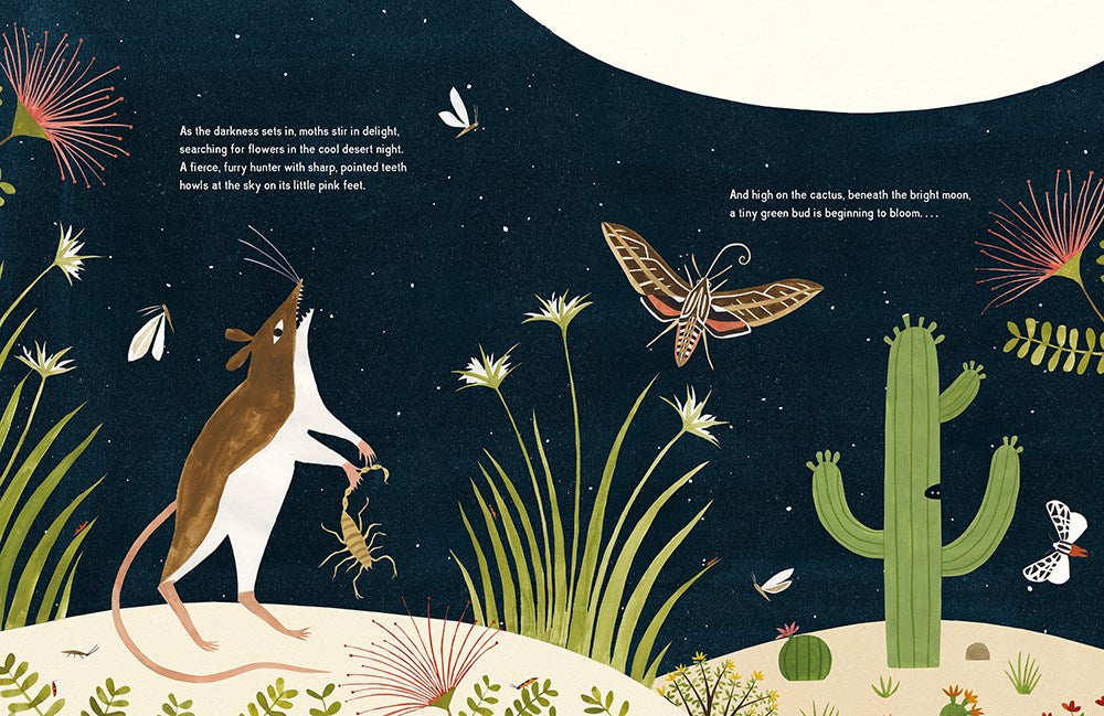 The Night Flower: The Blooming of the Saguaro Cactus