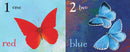 Butterfly Colors and Counting