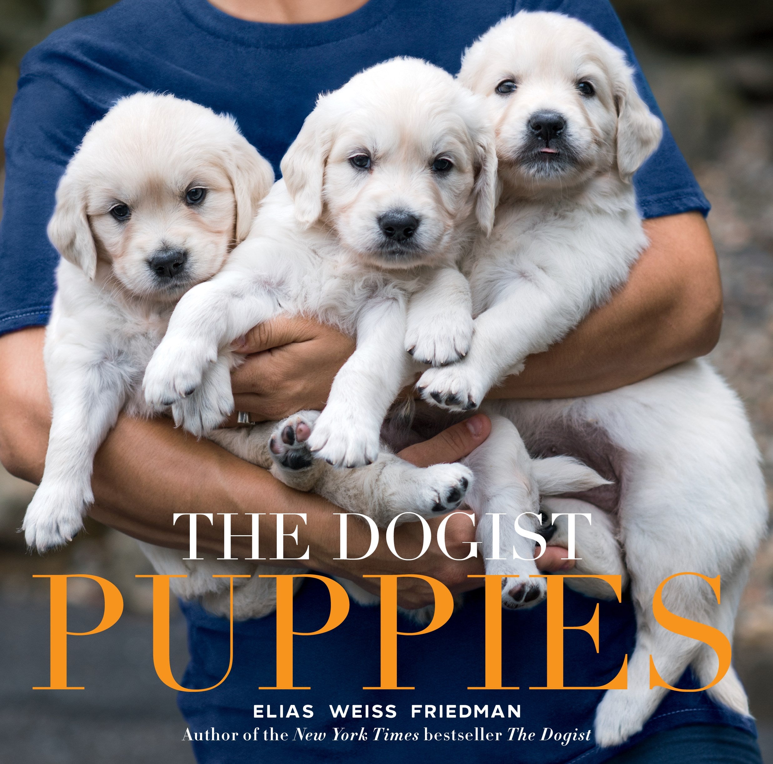 The Dogist Puppies