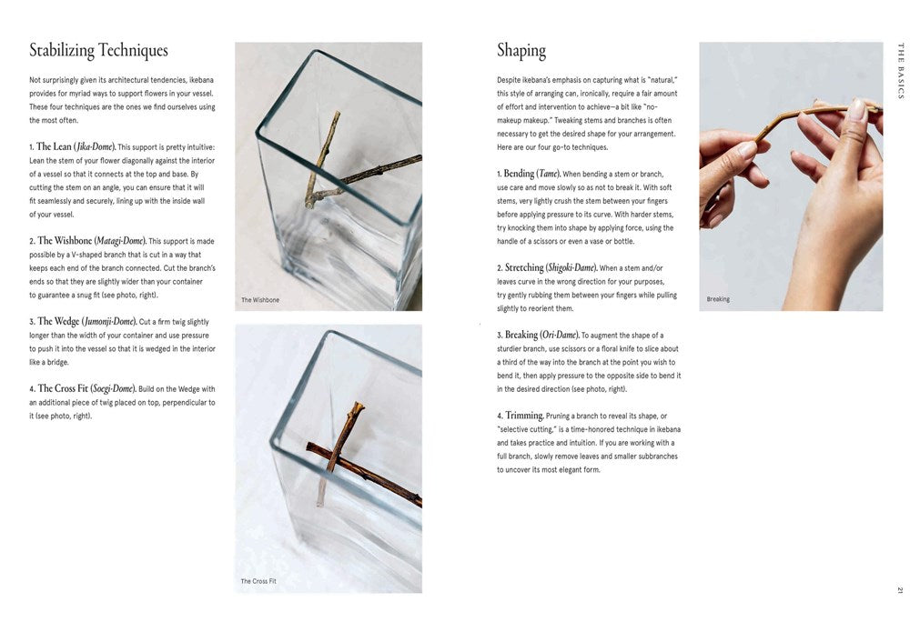 Ikebana Unbound