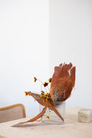 Ikebana Unbound