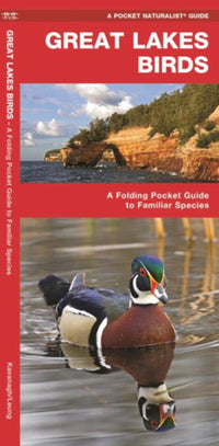 Great Lakes Birds: A Folding Pocket Guide to Familiar Species